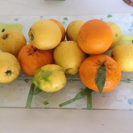 Il Giardino Degli Agrumi Villaggio Mosè